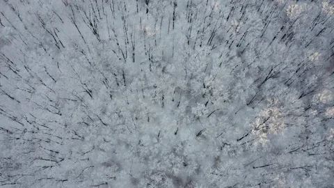 Top down drone view of snow covered trees after a new snow during a snowstorm Stock Footage 125287821