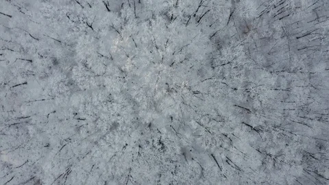 Top down drone view of snow covered trees after a new snow during a snowstorm Stock Footage 125287853