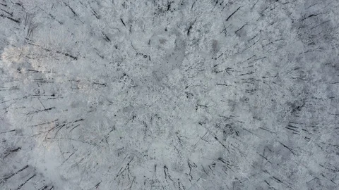 Top down drone view of snow covered trees after a new snow during a snowstorm Stock Footage 125287854