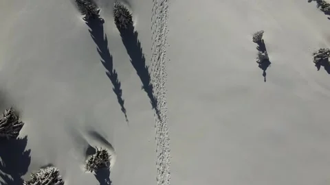 Top-Down Drone View of Snowy Forest with Long Shadows and Tracks Stock Footage 325176310