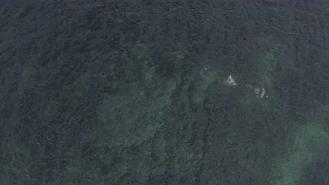 Top down Drone view of spear fisher in Spain 4K Stock Footage 137708756