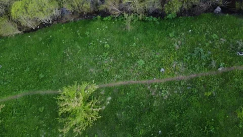 Top Down Drone View Of Stream And Hiking Path. Kazakhstan, Sayram-Ugam Park Stock Footage 332943587