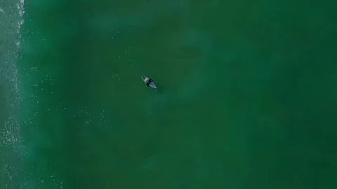 Top Down Drone View of Surfer Waiting for Waves in Costa da Caparica Portugal 스톡 동영상 337011994