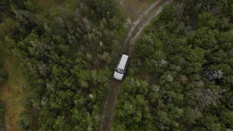Top-Down Drone View of SUV Driving Through Forest Stock Footage