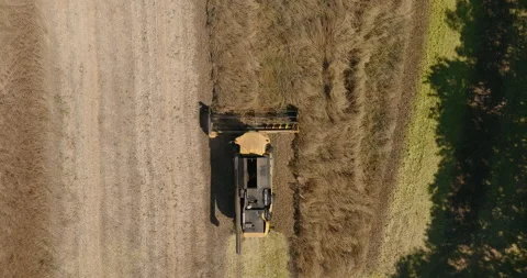 Top Down Drone View of Swather Cutting Grass Seed With Half the Field Harvested Stock Footage 343366841