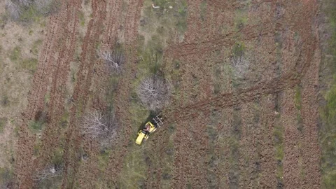 Top down drone view of tractor cultivating a vineyard Video stock 338425734