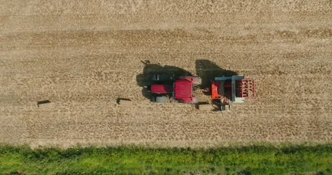 Top-Down Drone View of Tractor Collecting Straw Bales on Harvested Wheat Field 库存影片 341912339