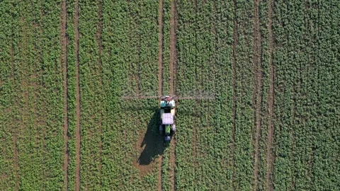 Top-down drone view of tractor spraying crops on a green field. Stock-Footage 347924392