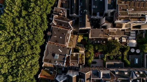 Top Down Drone View of Tree Canopy and City Rooftops Stock Photos