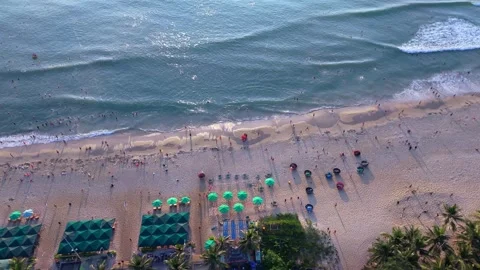 Top down drone view of tropical beach resort and palm trees in Da Nang Stock Footage 340536462