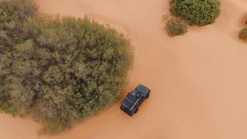 Top-down drone view of a vintage Range Rover Classic parked by a lush oasis in 動画素材 335443810