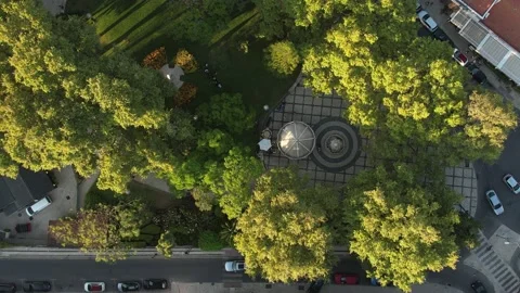 Top down drone view of Visconde da Luz square in Cascais, Portugal with moving Stock Footage 203822904