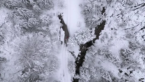 Top down drone view of winding creek flowing through snow-covered winter forest Stock-Footage 345190348