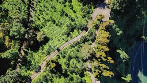 Top down drone view of winding asphalt road in Batumi Botanical Garden on g.. Foto stock
