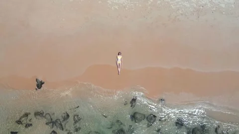 Top down drone view of woman standing alone on tropical sandy beach shoreline. Video stock 336655716