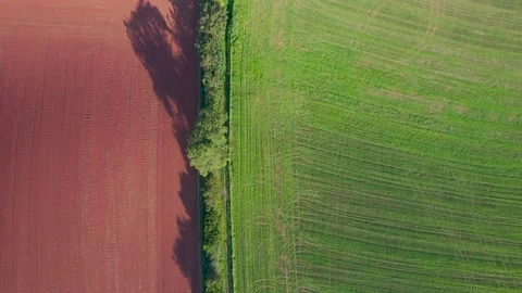 Top Down from a drone of Villages, Meadows and Fields, Devon, England Stock-Footage 161974444