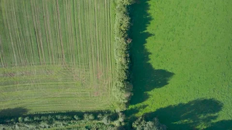 Top Down from a drone of Villages, Meadows and Fields, Devon, England Video stock 162008937