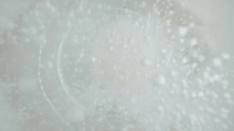 Top down effervescent tablet in glass of water, white round bubbling aspirin Stock-Footage 234149924