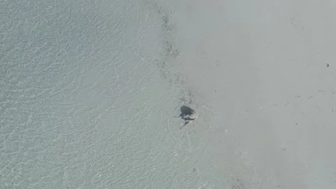Top-down extremely white guy sits on beach alone Stock Footage 201360687