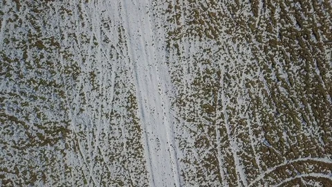 Top down on the field Video stock 84803136