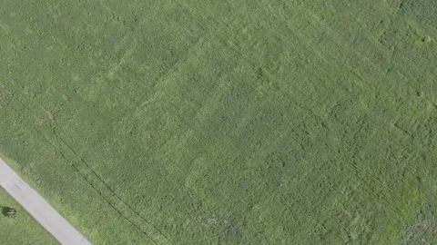 Top Down Field Stock Footage 247680869