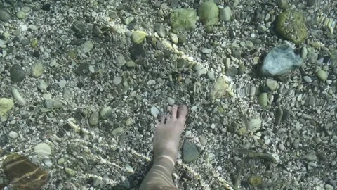 Top-down first-person view through crystal-clear water Stock Footage 300262515