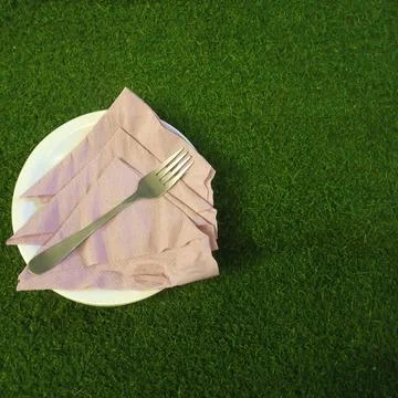 Top down flat lay of metal fork on pink napkins inside white plate turf Stock Photos