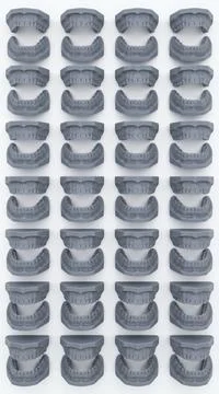 Top Down Flatlay of Grey 3D Printed Dental Models Foto stock