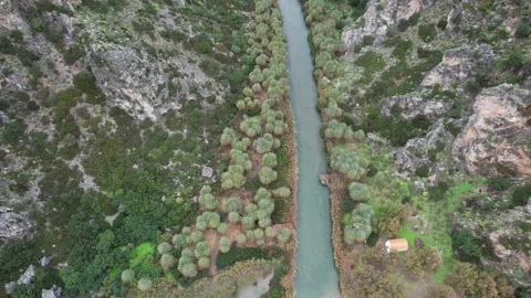 Top-down flight over Preveli palm river revealing the gorge, Crete Stock Footage 346723852