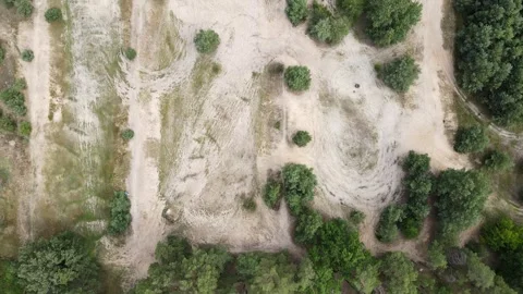 Top-down flying above sandy paths and trees, moving smoothly into deep forest 動画素材 320030328
