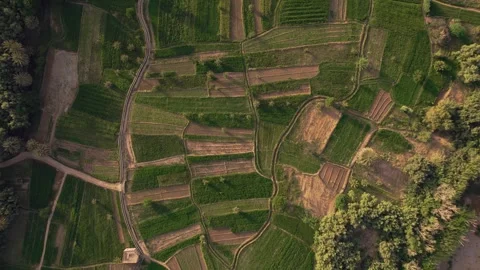 Top down flyover above oasis agriculture terraces near Tinghir in Draa Stock Footage 336622339