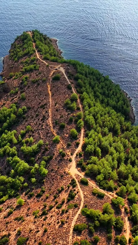 Top down forested peninsula and turquoise bay, Thassos, vertical Stock Footage 347178131