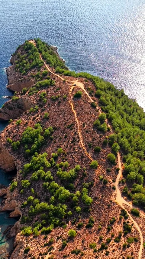 Top down forested peninsula tip in deep blue sea, Thassos, vertical Stock Footage 347178135