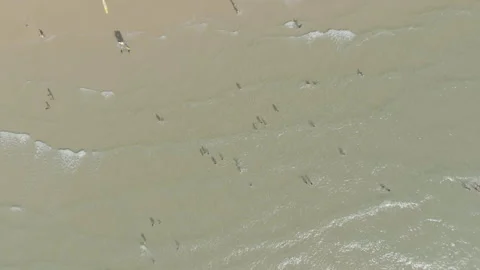 Top-down forward drone from ocean to sand at Cap Ferret, France Vídeos de archivo 333107544