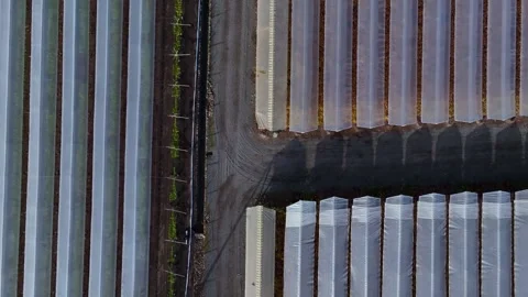 Top down forward flight over intersecting plastic greenhouse tunnel sections Stock Footage 340381710