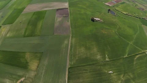 Top-down FPV drone shot speeding over lush green patchwork wheat fields and Video stock 334266617