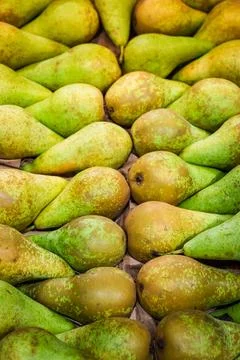 A top down, full frame photograph of numerous fresh green and brown Conferenc Stock Photos