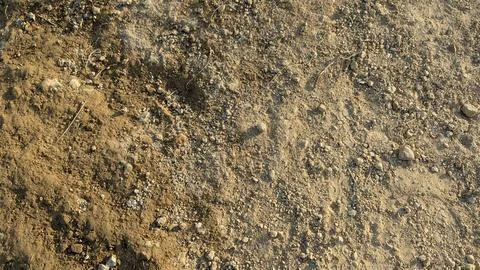 A top-down, high-angle view of a sand and dirt texture. The ground is a mix.. Stock Photos