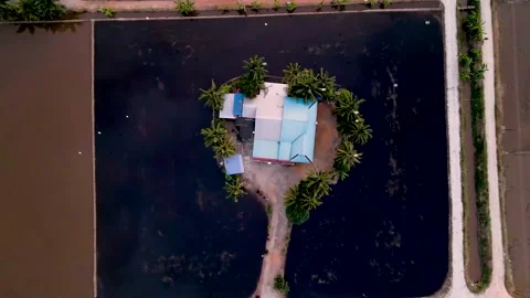 Top Down house in the middle of paddy field. Stock Footage 149012649