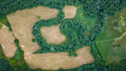 Top-down image of plowed fields wrapped by winding tree belts, creating a nat Stock Photos