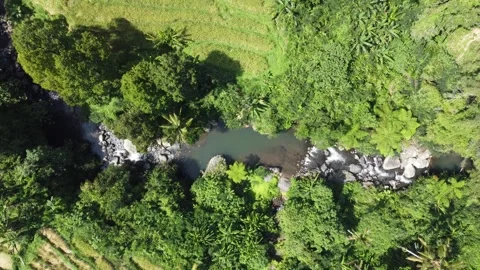 Top down irrigation stream Stock Footage 329867889