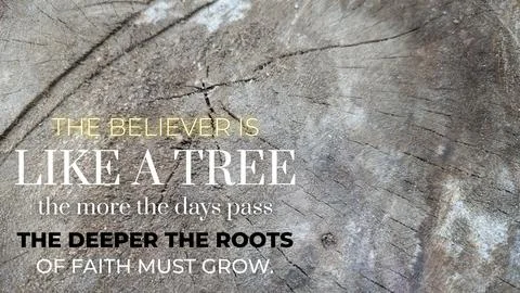 A top-down macro photograph features an inspirational quote overlaid on a w.. Stock Photos