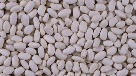 Top-down macro video of dried uncooked white bean seeds Stock-Footage 285906313