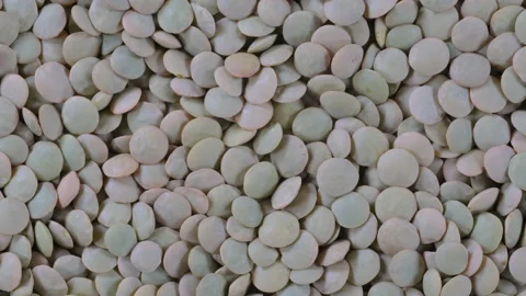 Top-down macro video of dried green lentils, camera moves left to right Video stock 285908970