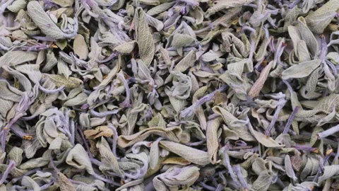 Top down macro view. Aromatic dried sage leaves (adacayi) in close detail. Stock Footage 296568833
