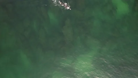 Top down  male open water swimming in turquoise water Stock Footage 217697137
