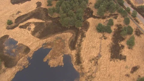 Top down meadow landscape Stock Footage 85916867