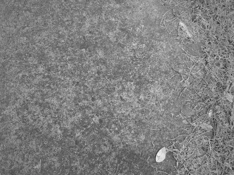 A top down monochrome view captures a textured concrete floor bordered by w.. Stock Photos