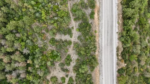 Top down movement of drone by asphalt road Stock Footage 289580575