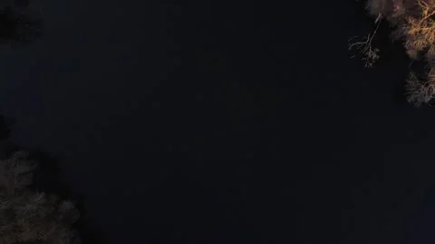 Top down nature scene of fallen tree and lake during spring in Friedrichsha.. Vidéo 244162038